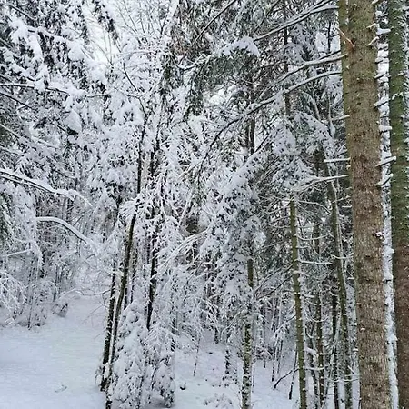Appartement Peace Trnovo